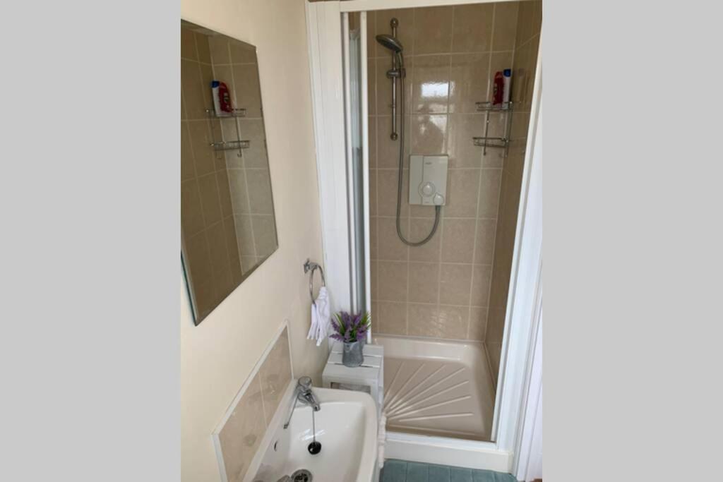 Two Bedroom Town House Beside The River Barrow Carlow Eksteriør billede